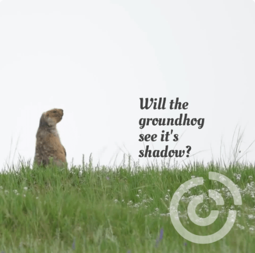 Groundhog Day 2