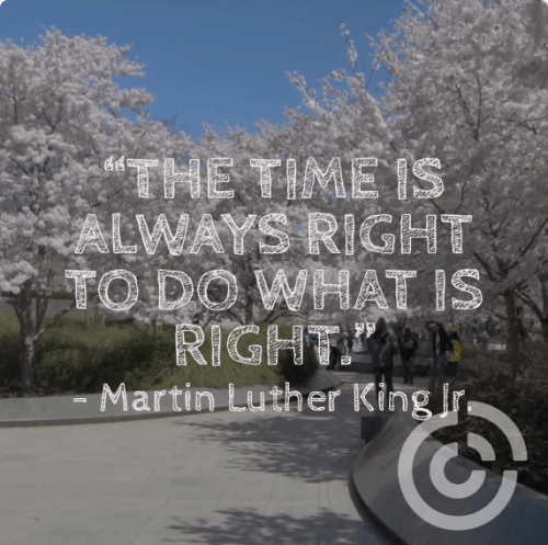Martin Luther King Jr. Day 2