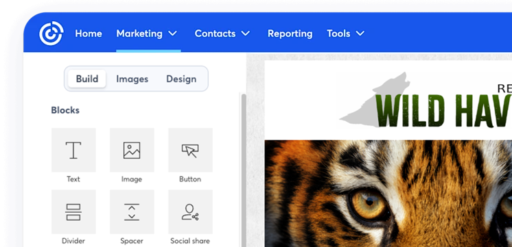 Constant Contact Campaign Design Email Templates Constant Contact Campaign Design Email Templates