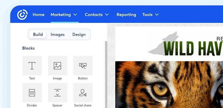 Campaign Design Email
