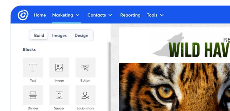 79DesignGraphicForHomePage-copy copy Campaign Design Email